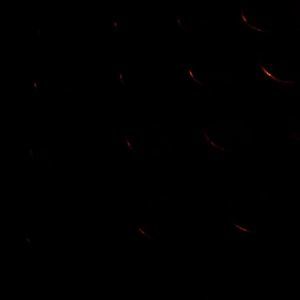 Meet your Posher, Chad